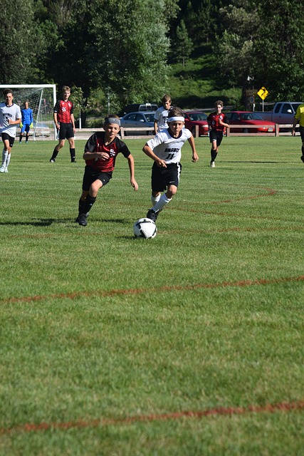 力增强他们 力增强他们