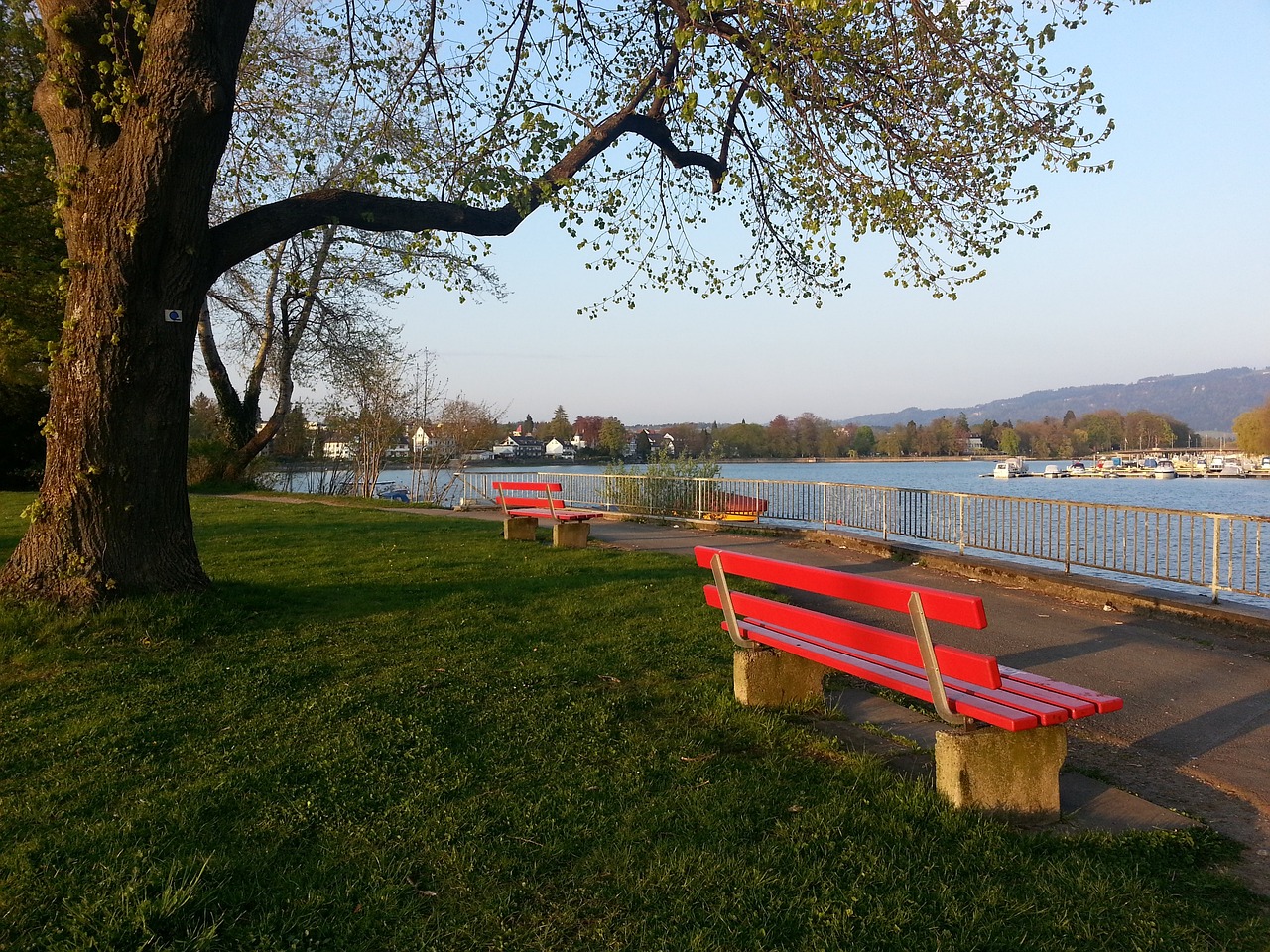 效阻断了摩 效阻断了摩