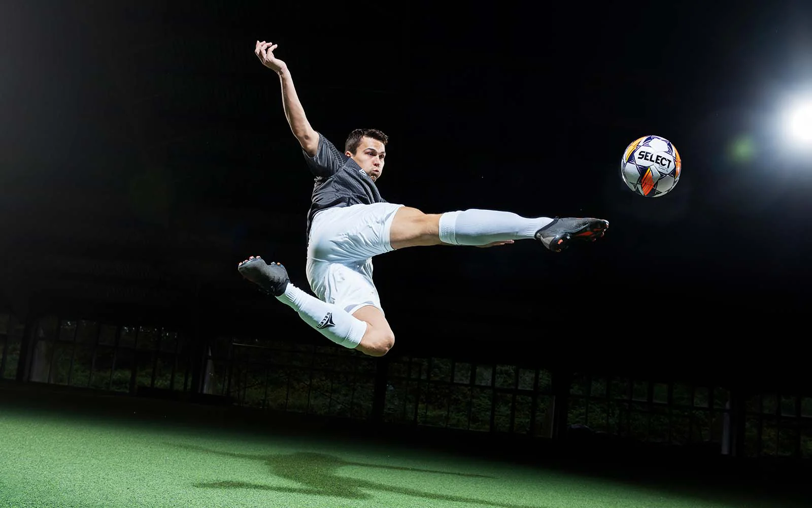 自己身体状 自己身体状